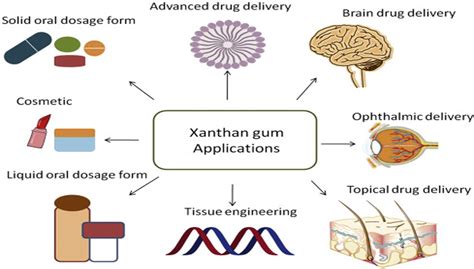  Gum Arabic - Biomateriał o Wszechstronnym Zastosowaniu w Medycynie i Farmaceutyce!