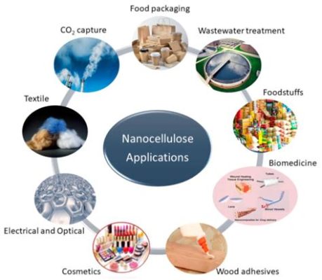  Nanocelluloza - Materiał przyszłości w przemyśle motoryzacyjnym i biomedycznym?